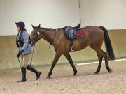 Image 46 in OPTIMUM EVENT MANAGEMENT. DRESSAGE AT MARTLEY HALL STUD. 25 NOV. 2018