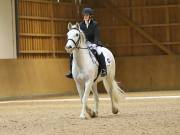 Image 49 in OPTIMUM EVENT MANAGEMENT. DRESSAGE AT MARTLEY HALL STUD. 25 NOV. 2018