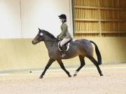 Image 5 in OPTIMUM EVENT MANAGEMENT. DRESSAGE AT MARTLEY HALL STUD. 25 NOV. 2018