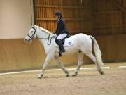 Image 52 in OPTIMUM EVENT MANAGEMENT. DRESSAGE AT MARTLEY HALL STUD. 25 NOV. 2018