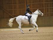 Image 54 in OPTIMUM EVENT MANAGEMENT. DRESSAGE AT MARTLEY HALL STUD. 25 NOV. 2018