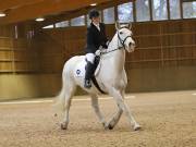 Image 57 in OPTIMUM EVENT MANAGEMENT. DRESSAGE AT MARTLEY HALL STUD. 25 NOV. 2018