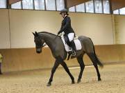 Image 58 in OPTIMUM EVENT MANAGEMENT. DRESSAGE AT MARTLEY HALL STUD. 25 NOV. 2018