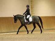 Image 64 in OPTIMUM EVENT MANAGEMENT. DRESSAGE AT MARTLEY HALL STUD. 25 NOV. 2018