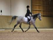 Image 68 in OPTIMUM EVENT MANAGEMENT. DRESSAGE AT MARTLEY HALL STUD. 25 NOV. 2018