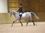 Image 71 in OPTIMUM EVENT MANAGEMENT. DRESSAGE AT MARTLEY HALL STUD. 25 NOV. 2018