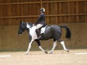 Image 78 in OPTIMUM EVENT MANAGEMENT. DRESSAGE AT MARTLEY HALL STUD. 25 NOV. 2018