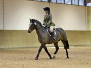 Image 8 in OPTIMUM EVENT MANAGEMENT. DRESSAGE AT MARTLEY HALL STUD. 25 NOV. 2018