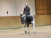 Image 80 in OPTIMUM EVENT MANAGEMENT. DRESSAGE AT MARTLEY HALL STUD. 25 NOV. 2018