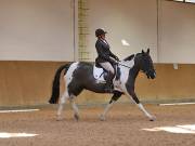 Image 81 in OPTIMUM EVENT MANAGEMENT. DRESSAGE AT MARTLEY HALL STUD. 25 NOV. 2018