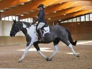 Image 82 in OPTIMUM EVENT MANAGEMENT. DRESSAGE AT MARTLEY HALL STUD. 25 NOV. 2018