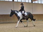 Image 83 in OPTIMUM EVENT MANAGEMENT. DRESSAGE AT MARTLEY HALL STUD. 25 NOV. 2018