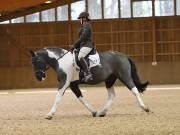 Image 84 in OPTIMUM EVENT MANAGEMENT. DRESSAGE AT MARTLEY HALL STUD. 25 NOV. 2018