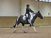 Image 85 in OPTIMUM EVENT MANAGEMENT. DRESSAGE AT MARTLEY HALL STUD. 25 NOV. 2018