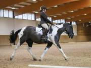 Image 86 in OPTIMUM EVENT MANAGEMENT. DRESSAGE AT MARTLEY HALL STUD. 25 NOV. 2018