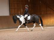 Image 87 in OPTIMUM EVENT MANAGEMENT. DRESSAGE AT MARTLEY HALL STUD. 25 NOV. 2018