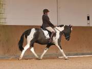 Image 90 in OPTIMUM EVENT MANAGEMENT. DRESSAGE AT MARTLEY HALL STUD. 25 NOV. 2018