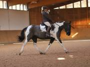 Image 91 in OPTIMUM EVENT MANAGEMENT. DRESSAGE AT MARTLEY HALL STUD. 25 NOV. 2018