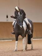 Image 92 in OPTIMUM EVENT MANAGEMENT. DRESSAGE AT MARTLEY HALL STUD. 25 NOV. 2018