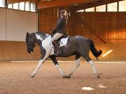 Image 93 in OPTIMUM EVENT MANAGEMENT. DRESSAGE AT MARTLEY HALL STUD. 25 NOV. 2018