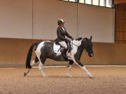 Image 95 in OPTIMUM EVENT MANAGEMENT. DRESSAGE AT MARTLEY HALL STUD. 25 NOV. 2018