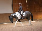 Image 96 in OPTIMUM EVENT MANAGEMENT. DRESSAGE AT MARTLEY HALL STUD. 25 NOV. 2018