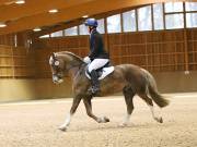 Image 98 in OPTIMUM EVENT MANAGEMENT. DRESSAGE AT MARTLEY HALL STUD. 25 NOV. 2018