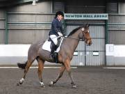 Image 1 in NEWTON HALL EQUITATION. DRESSAGE. 2ND DECEMBER 2018.