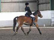 Image 10 in NEWTON HALL EQUITATION. DRESSAGE. 2ND DECEMBER 2018.