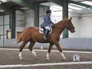 Image 111 in NEWTON HALL EQUITATION. DRESSAGE. 2ND DECEMBER 2018.