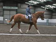 Image 116 in NEWTON HALL EQUITATION. DRESSAGE. 2ND DECEMBER 2018.