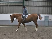 Image 118 in NEWTON HALL EQUITATION. DRESSAGE. 2ND DECEMBER 2018.