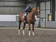 Image 120 in NEWTON HALL EQUITATION. DRESSAGE. 2ND DECEMBER 2018.