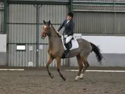 Image 128 in NEWTON HALL EQUITATION. DRESSAGE. 2ND DECEMBER 2018.