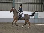 Image 129 in NEWTON HALL EQUITATION. DRESSAGE. 2ND DECEMBER 2018.