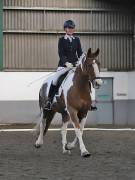 Image 15 in NEWTON HALL EQUITATION. DRESSAGE. 2ND DECEMBER 2018.