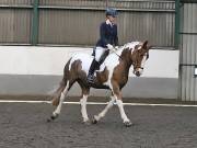 Image 18 in NEWTON HALL EQUITATION. DRESSAGE. 2ND DECEMBER 2018.