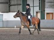 Image 2 in NEWTON HALL EQUITATION. DRESSAGE. 2ND DECEMBER 2018.