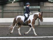 Image 22 in NEWTON HALL EQUITATION. DRESSAGE. 2ND DECEMBER 2018.