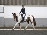 Image 25 in NEWTON HALL EQUITATION. DRESSAGE. 2ND DECEMBER 2018.