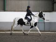 Image 39 in NEWTON HALL EQUITATION. DRESSAGE. 2ND DECEMBER 2018.