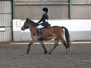 Image 4 in NEWTON HALL EQUITATION. DRESSAGE. 2ND DECEMBER 2018.