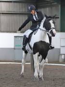 Image 47 in NEWTON HALL EQUITATION. DRESSAGE. 2ND DECEMBER 2018.