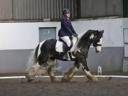 Image 52 in NEWTON HALL EQUITATION. DRESSAGE. 2ND DECEMBER 2018.