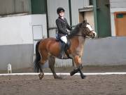 Image 6 in NEWTON HALL EQUITATION. DRESSAGE. 2ND DECEMBER 2018.