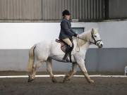 Image 62 in NEWTON HALL EQUITATION. DRESSAGE. 2ND DECEMBER 2018.