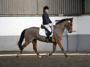 Image 72 in NEWTON HALL EQUITATION. DRESSAGE. 2ND DECEMBER 2018.