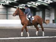 Image 79 in NEWTON HALL EQUITATION. DRESSAGE. 2ND DECEMBER 2018.