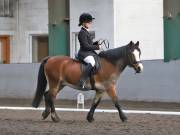 Image 8 in NEWTON HALL EQUITATION. DRESSAGE. 2ND DECEMBER 2018.