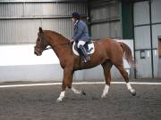 Image 80 in NEWTON HALL EQUITATION. DRESSAGE. 2ND DECEMBER 2018.